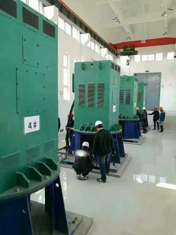 福山某污水处理厂使用我厂的立式高压电机安装现场